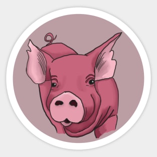 Pink Pig Sticker